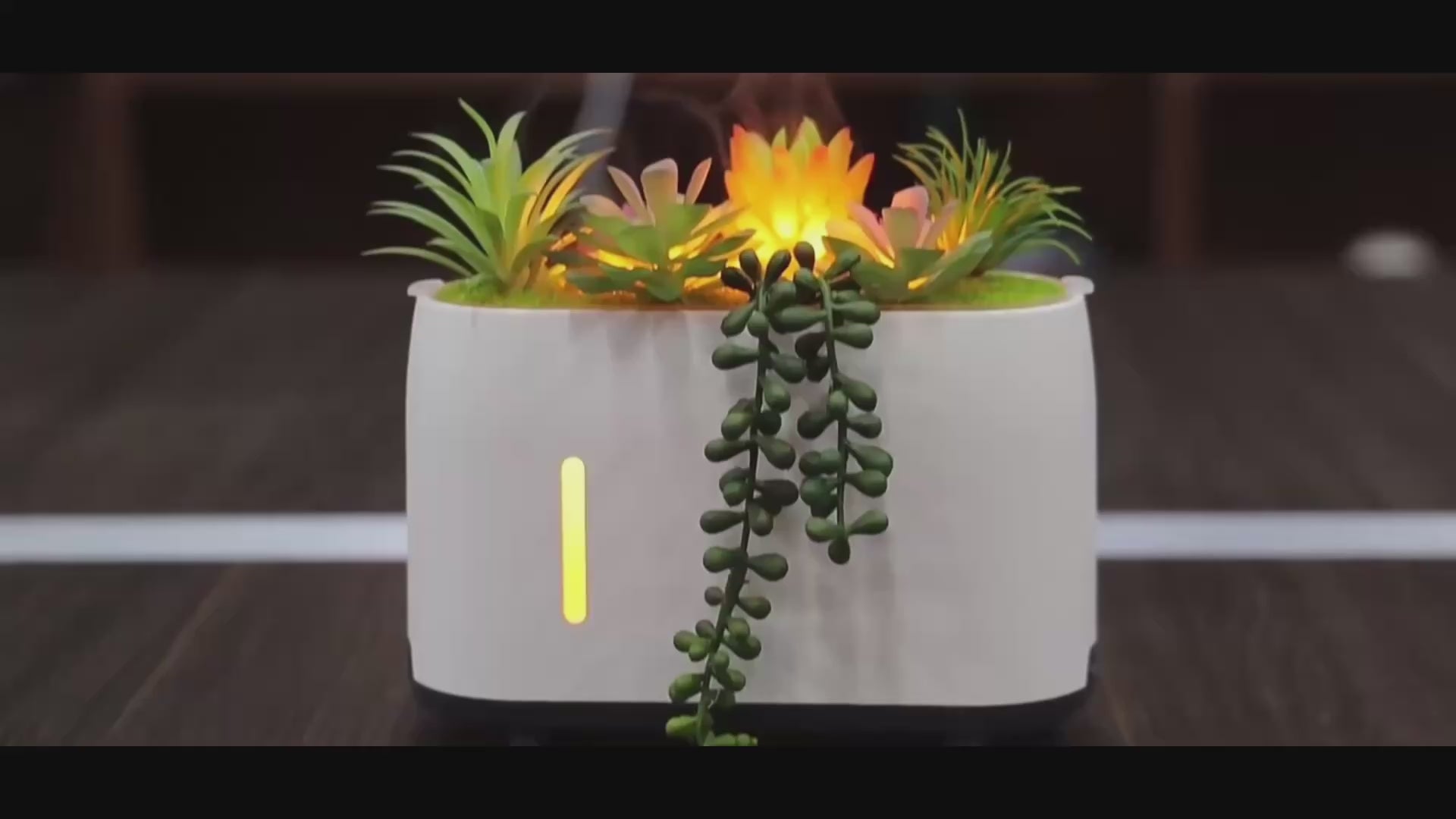 Plant Mist Humidifier