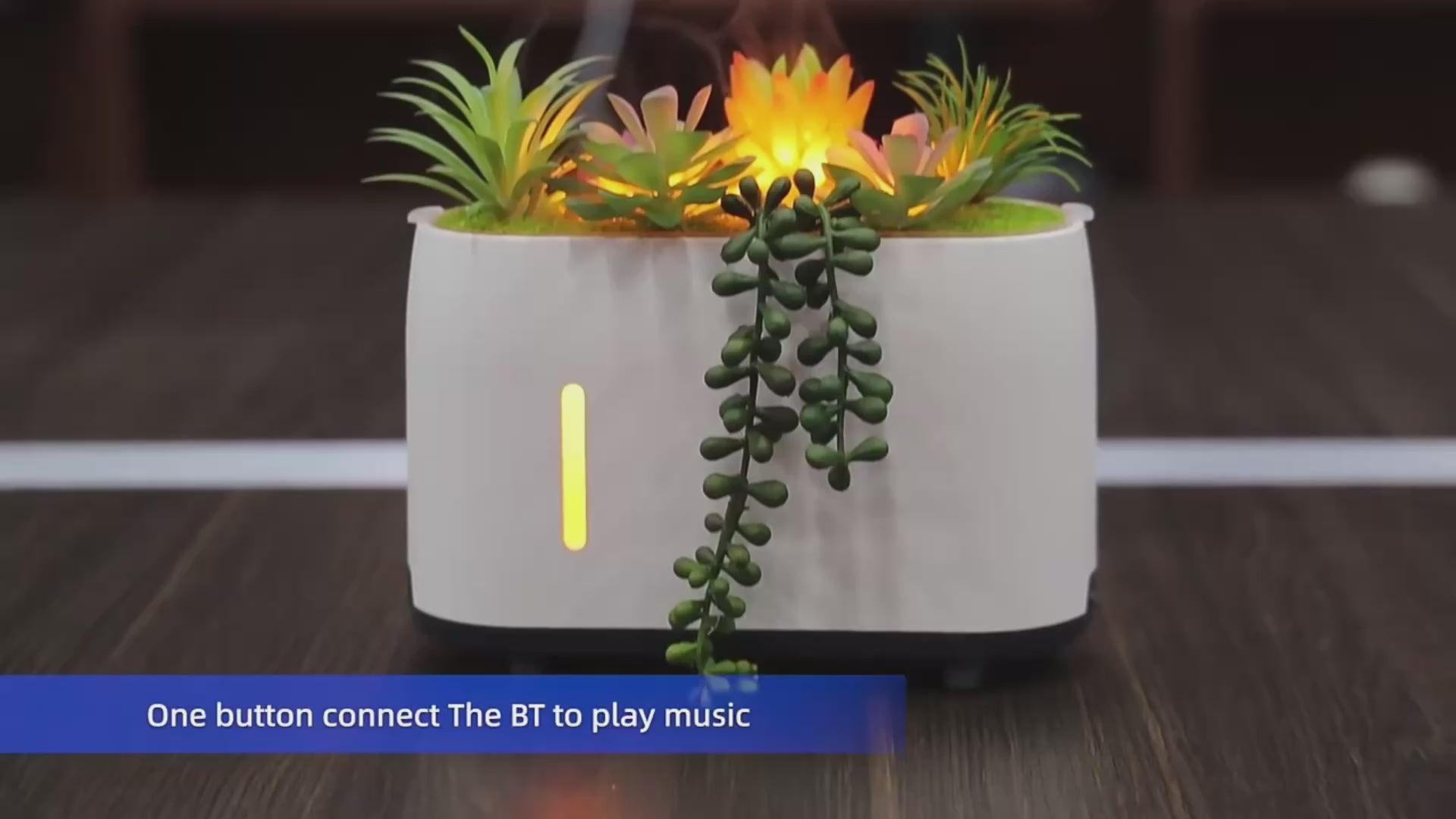 Plant Mist Humidifier