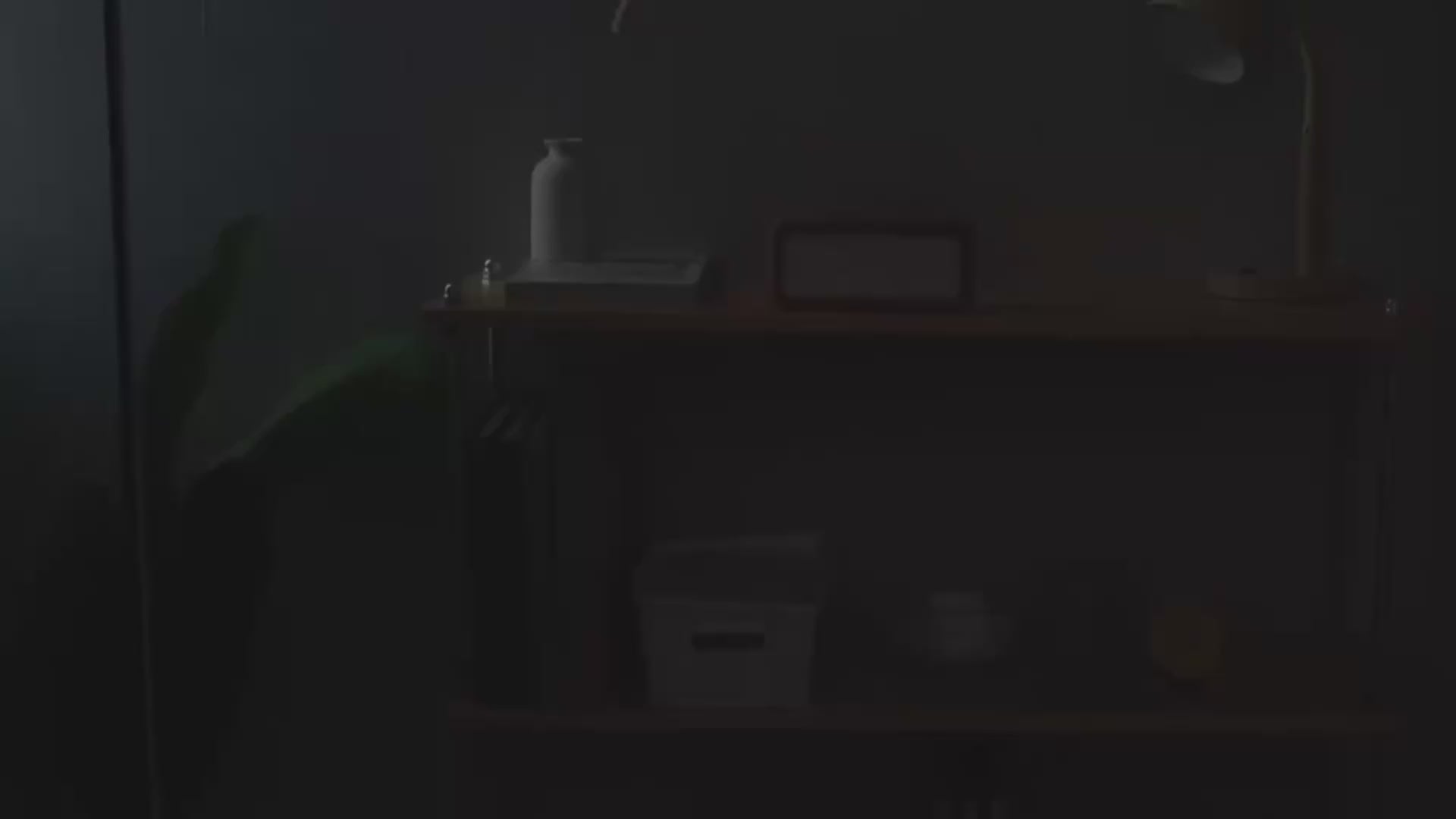 Snow Mountain Humidifier